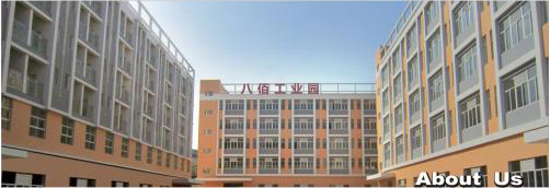 Company Profile